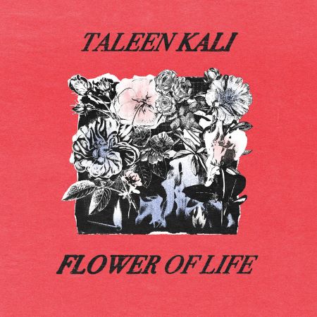 Album of the Week: Taleen Kali ‘Flowers of Life’